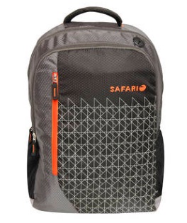 India Desire : Buy Safari Boogie Grey Backpack At Rs 390 From Paytm
